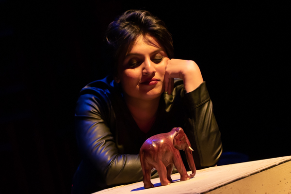 Photo Coverage: First look at the World Premiere of Evolution Theatre Company's THE ELEPHANT IN THE ROOM Image
