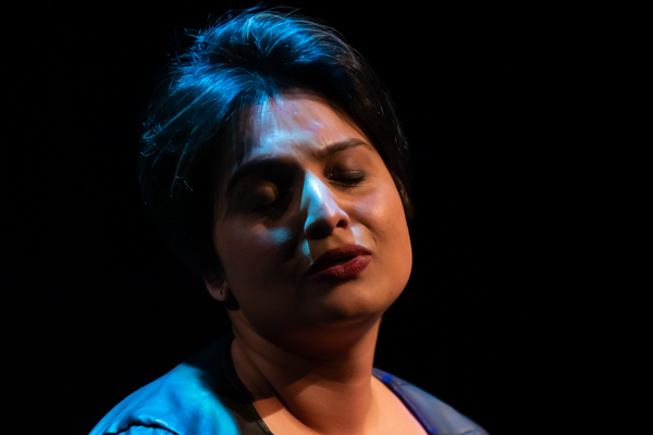 Photo Coverage: First look at the World Premiere of Evolution Theatre Company's THE ELEPHANT IN THE ROOM Image