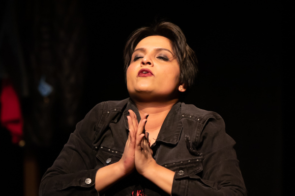 Photo Coverage: First look at the World Premiere of Evolution Theatre Company's THE ELEPHANT IN THE ROOM Image