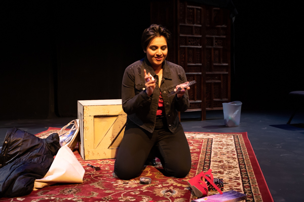 Photo Coverage: First look at the World Premiere of Evolution Theatre Company's THE ELEPHANT IN THE ROOM Image