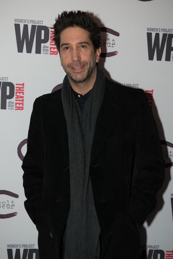 David Schwimmer Photo