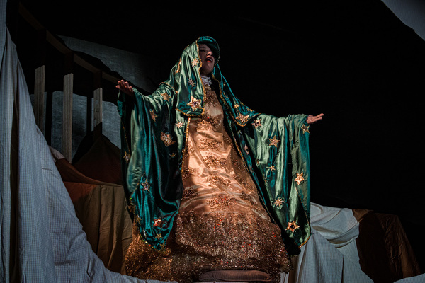 Photo Flash: First Look at Latino Theater Company's THE MOTHER OF HENRY Image