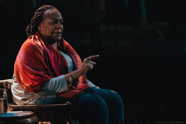 Photo Flash: First Look At UNTIL THE FLOOD At Portland Center Stage Image