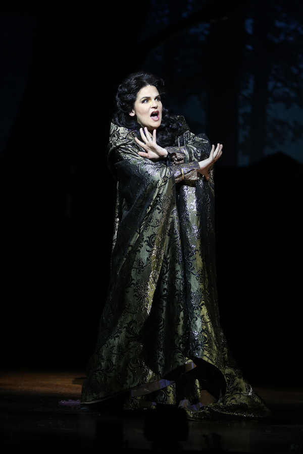 Photo Flash: Ford's Theatre Society Presents INTO THE WOODS Image