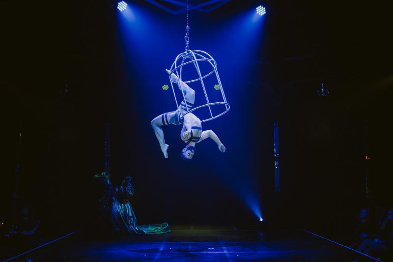 Review: BRIEFS returns to Arts Centre Melbourne for Close Encounters Image