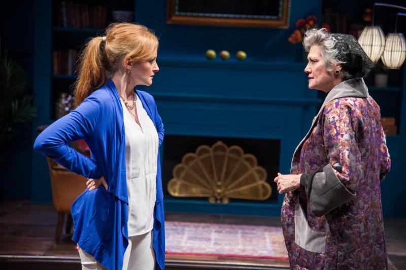 Review: THE JEWISH QUEEN LEAR at Theater J Image