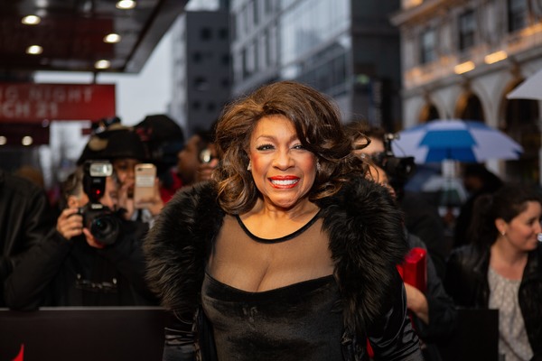 Photo Coverage: Mary Wilson, Berry Gordy & More Walk the Red Carpet at AIN'T TOO PROUD Image