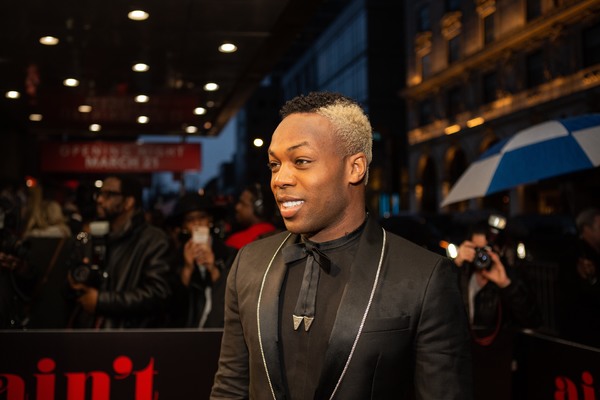 Photo Coverage: Mary Wilson, Berry Gordy & More Walk the Red Carpet at AIN'T TOO PROUD Image