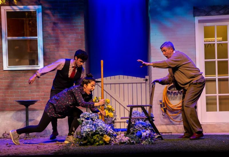 Review:  Eagle Theatre's Regional Premier of NATIVE GARDENS  Image