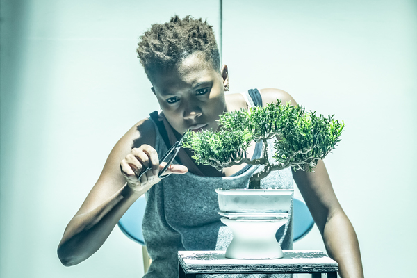 Photo Flash: First Look at THE PHLEBOTOMIST at Hampstead Theatre Image