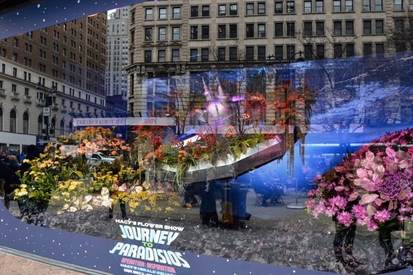 Photo Coverage: MACY'S FLOWER SHOW- Journey to Paradisios Operation: Inspiration Image