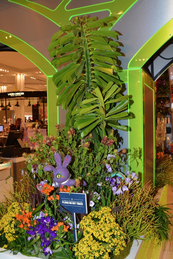 Photo Coverage: MACY'S FLOWER SHOW- Journey to Paradisios Operation: Inspiration Image
