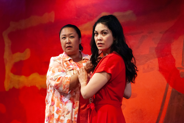 Photo Flash: Inside Look at VIETGONE at Capital Stage Image