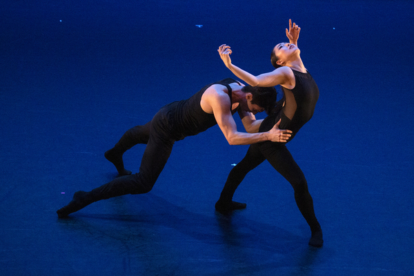 Photo Flash: Dance Lab New York Celebrates Annual Spring Gala Image
