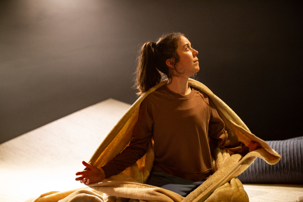 Photo Flash: First Look at THE NOISES at the Old Red Lion Image