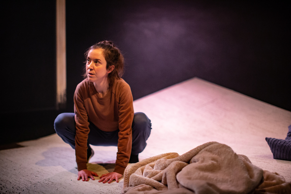 Photo Flash: First Look at THE NOISES at the Old Red Lion Image