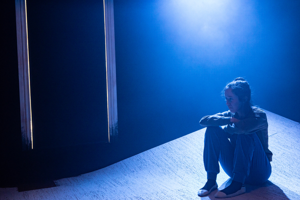 Photo Flash: First Look at THE NOISES at the Old Red Lion Image