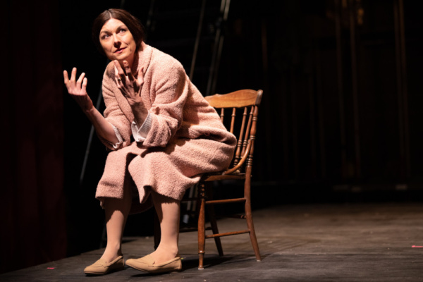 Photo Flash: First Look At Flint Repertory Theatre's THE GLASS MENAGERIE Image