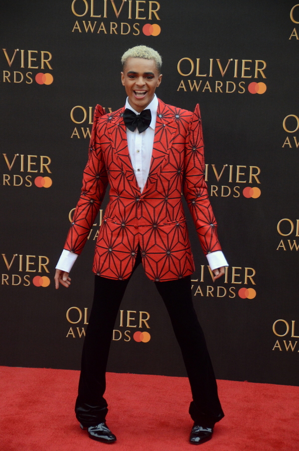 Photo Flash: On the Red Carpet With Patti LuPone, Katharine McPhee, and More at the 2019 Olivier Awards 