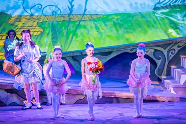 Photo Flash: Get A First Look A Waterville Opera House's THE WIZARD OF OZ Image