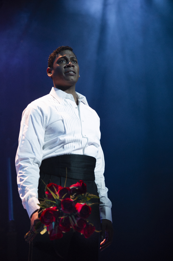 Photo Flash: First Look at Signature's GRAND HOTEL Image