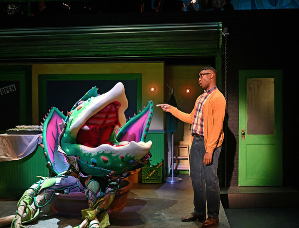 Photo Flash: Trinity Repertory Company Presents LITTLE SHOP OF HORRORS Image