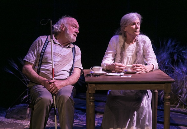 Photo Flash: Ensemble Theatre Company Presents EVERYTHING IS ILLUMINATED Image