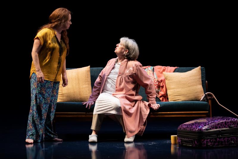 Review: As Scientists Prepared To Make Particle Colliding History One Family Faces The Challenge Of Disparate Personalities Being Forced Together in MOSQUITOES Image
