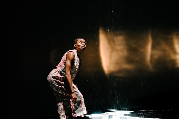 Photo Flash: First Look at THE HALF GOD OF RAINFALL Image