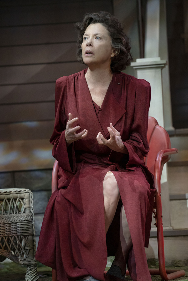 Photo Flash: First Look at Annette Bening, Tracy Letts, and the Cast of ALL MY SONS Image