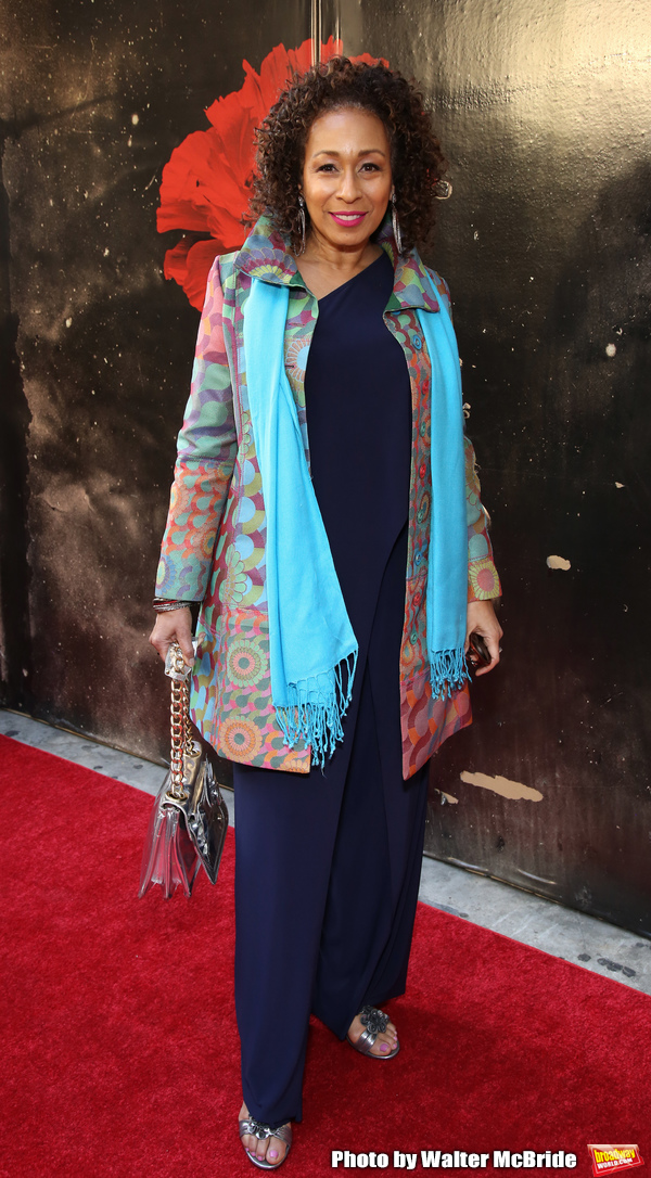 Photo Coverage: On the Opening Night Red Carpet at HADESTOWN Image