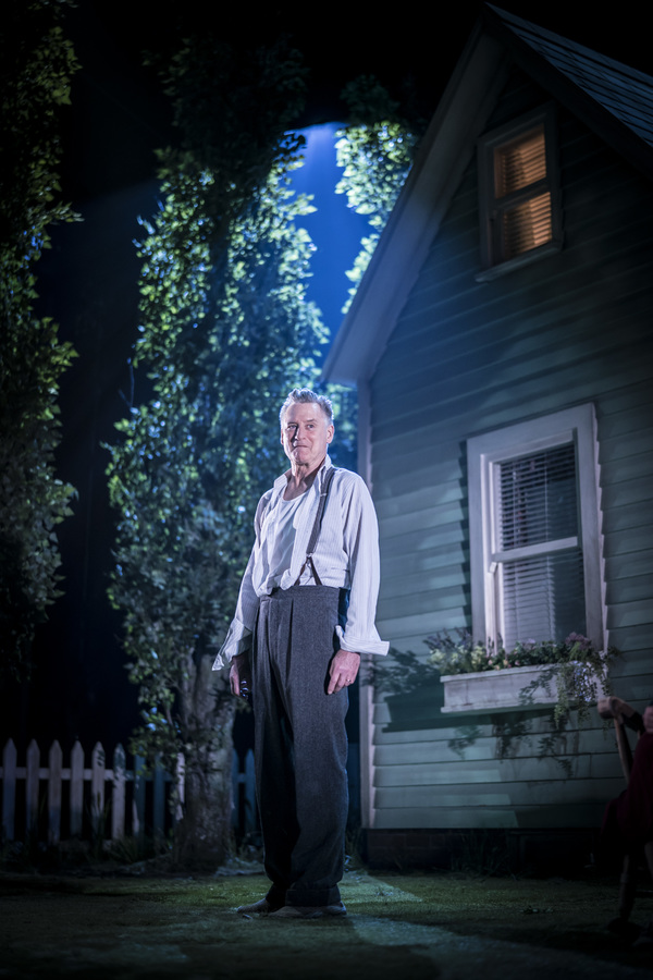Photo Flash: First Look at Sally Field, Jenna Coleman, and the Cast of ALL MY SONS Image