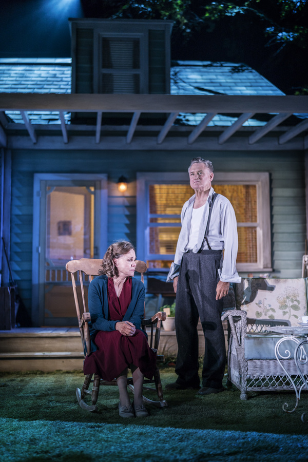 Photo Flash: First Look at Sally Field, Jenna Coleman, and the Cast of ALL MY SONS Image