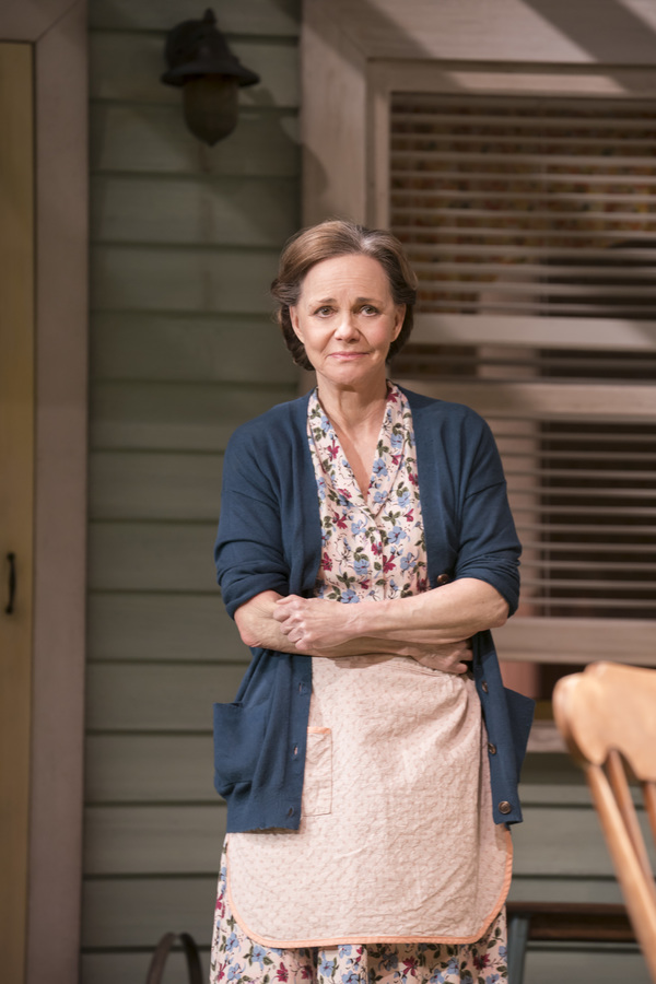 Photo Flash: First Look at Sally Field, Jenna Coleman, and the Cast of ALL MY SONS Image