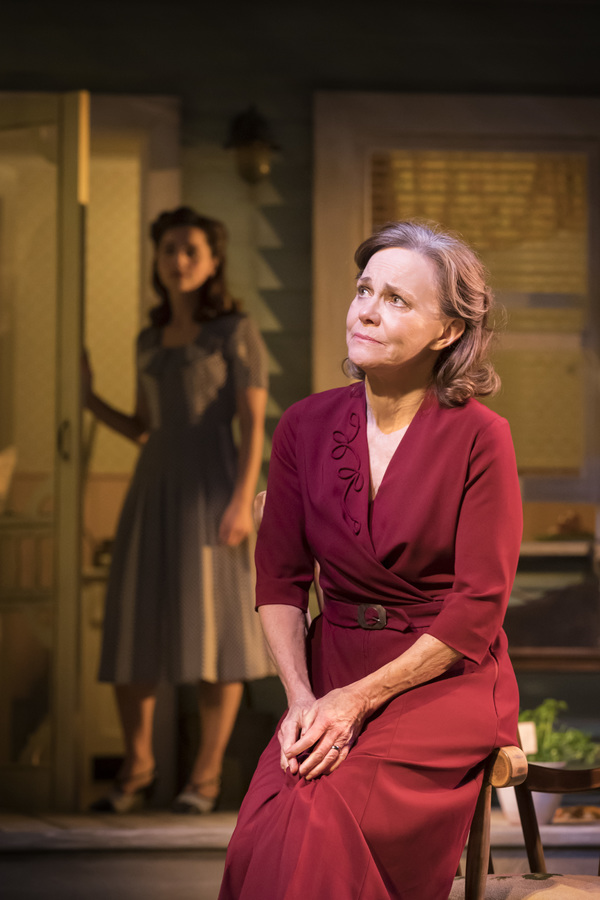 Photo Flash: First Look at Sally Field, Jenna Coleman, and the Cast of ALL MY SONS Image