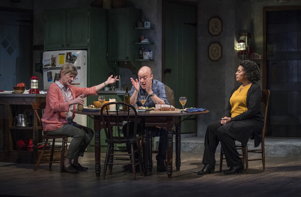 Photo Flash: First Look at Steppenwolf's THE CHILDREN Image
