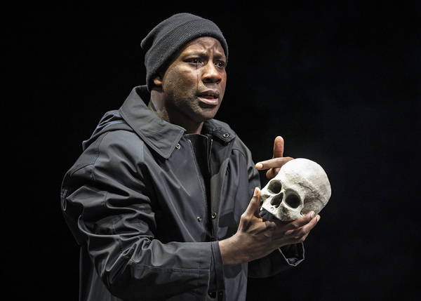 Photo Flash: Chicago Shakespeare Presents HAMLET Image