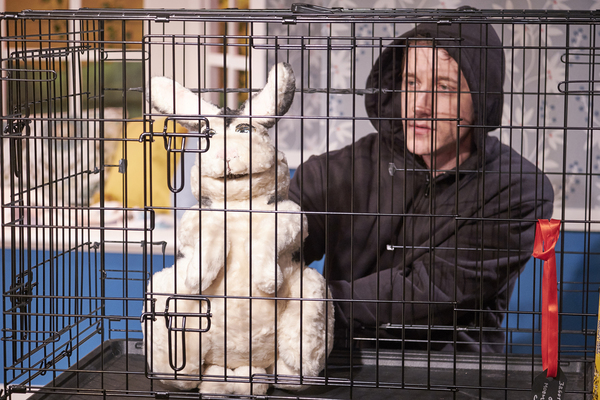Photo Flash: Mile Square Theatre Presents BUNNICULA Image