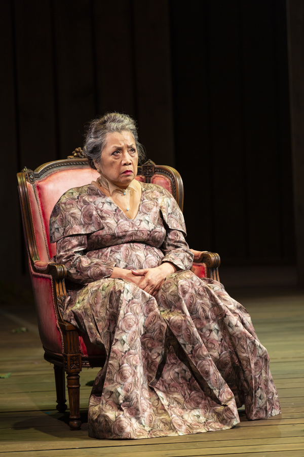 Photo Flash: First Look at A DOLL'S HOUSE, PART 2 at Long Wharf Theatre Image