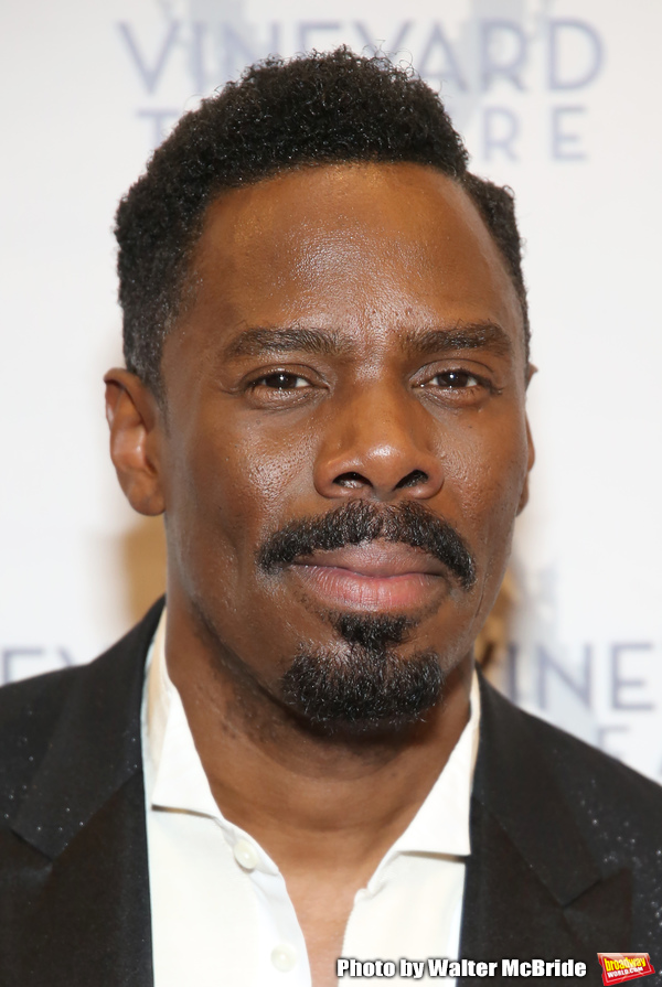 Photo Coverage: On the Red Carpet for The Vineyard Theatre's Gala Honoring Colman Domingo! Image
