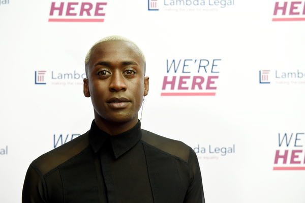 Photo Flash: Inside The Lambda Legal National Liberty Awards  Image