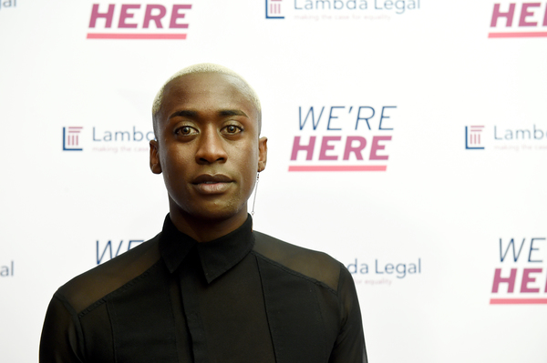 Photo Flash: Inside The Lambda Legal National Liberty Awards Image