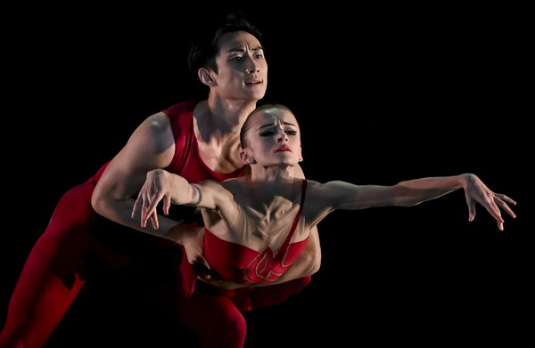 Review: WHEELDON, ELO AND ROBBINS DANCE TRIO at Academy Of Music Image