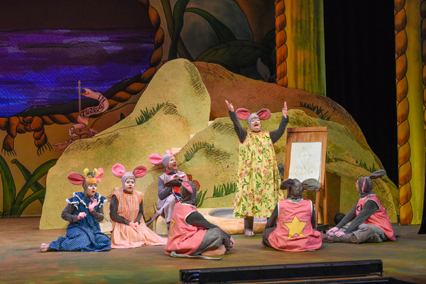Photo Flash: THE ISLAND OF THE SKOG At Dallas Children's Theater Image
