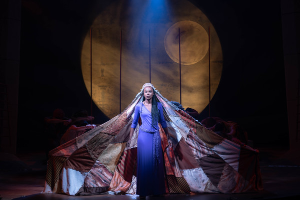 Photo Flash: The John W. Engeman Theater Presents AIDA Image