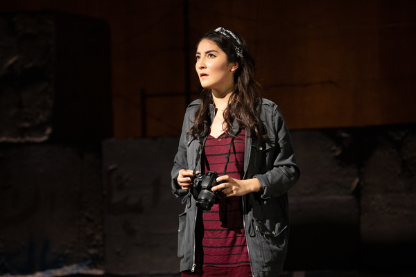 Photo Flash: First Look at A.R.T.'s WE LIVE IN CAIRO Image