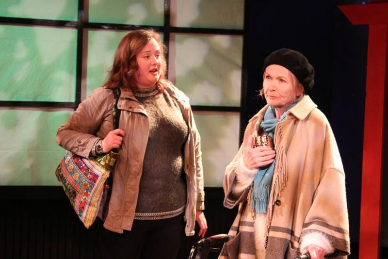 Review: THIS RANDOM WORLD at Left Edge Theatre 