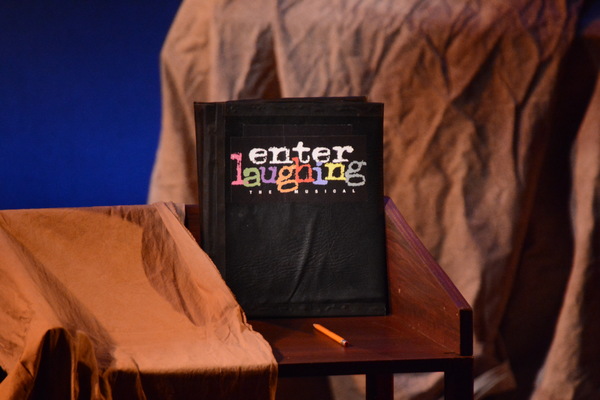 Photo Coverage: ENTER LAUGHING: THE MUSICAL Takes Opening Night Bows Image