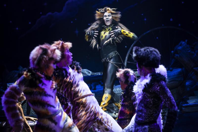 Review: CATS at Popejoy Hall 