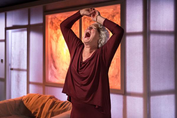 Photo Flash: First Look at the West End Transfer of VINCENT RIVER Image